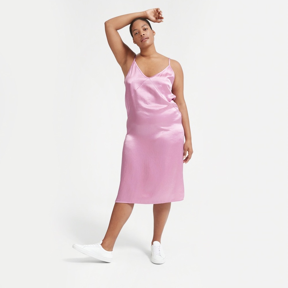 Everlane Silk Slip